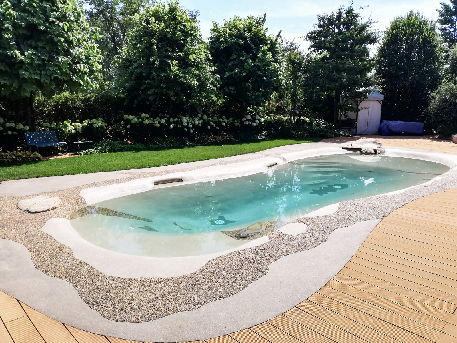 Pool with finished surrounding deck